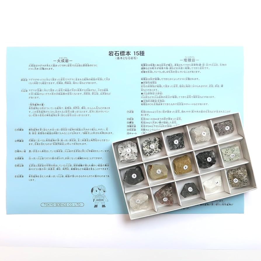 【ご確認用】SLD 流星マーク フルアートfoil 背骨岩の小山 日本語 1枚 Nornis戌亥とこ＆町田ちま 1st mini Album発売記念アニメイト